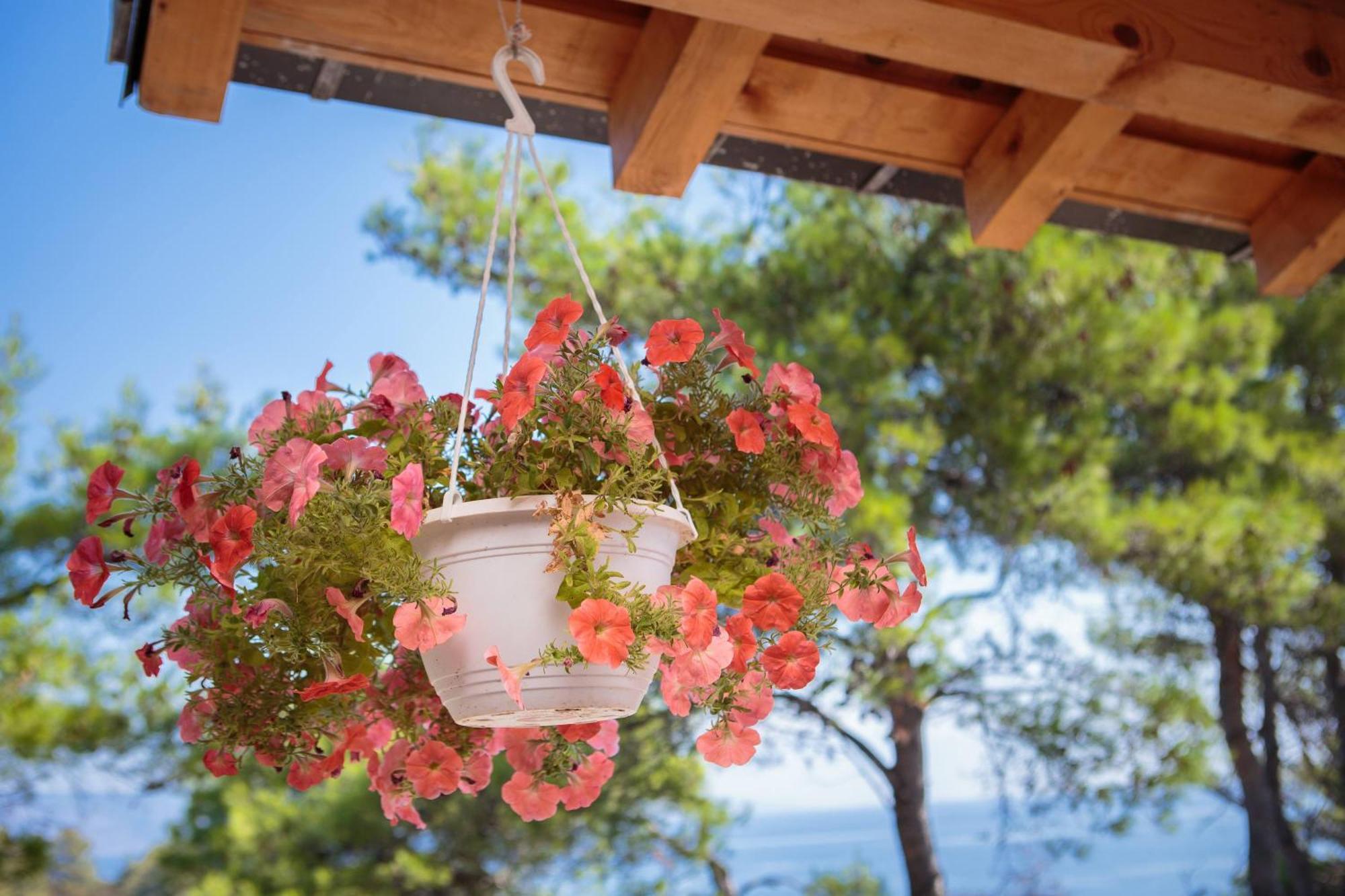 Pavao Apartments Vrboska Chambre photo